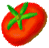 Tomaten