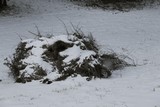170105-8383h.jpg