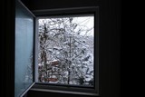 170116-wint8461.jpg