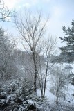 170116-wint8470.jpg