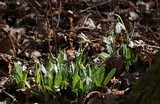 170311-8645s.jpg