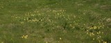 170425-8853s.jpg