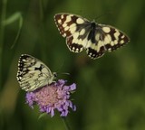 170620-9939m.jpg