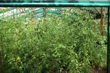 170708-0543.jpg