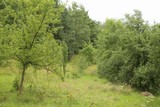 170804-1547w.jpg