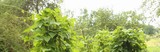 170804-1597_.jpg