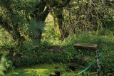 170824-teich.jpg