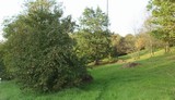 171009-170930-198.jpg