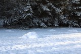 180205-2543.jpg