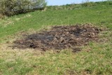 180421-brandfleck1804153258.jpg