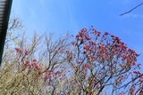 181031-5428.jpg