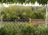 201021-Balkonherbst.jpg