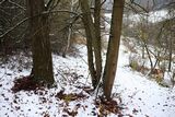 201201-HauswieseImWinter.jpg