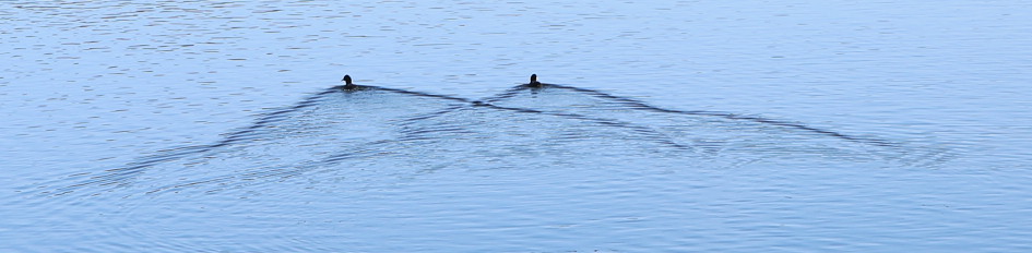 n_221030_baggersee.jpg