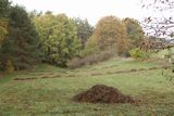 221106-Herbstwiese.JPG