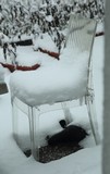 0118-BittePlatzNehmen.jpg