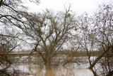 1225hochwasser.jpg