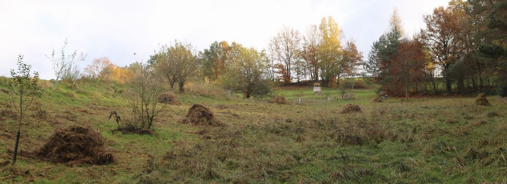 n_1112heuhaufen60.jpg