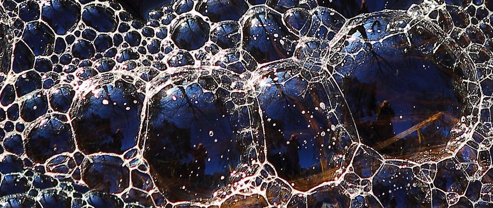 n_220119teichtierchenraupe.jpg