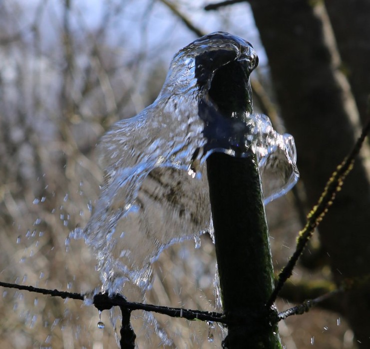 n_220221teichwindhoeschen.jpg